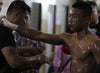 What is the namman muay thai boxing liniment ?