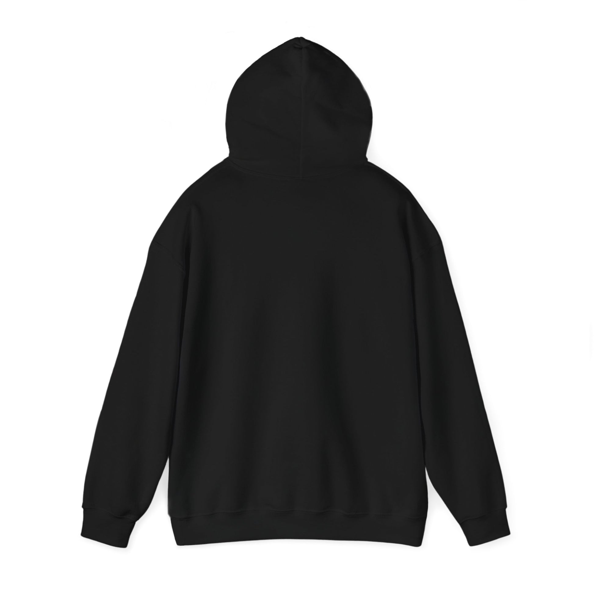 Mistermuaythai Hoodie - Mistermuaythai